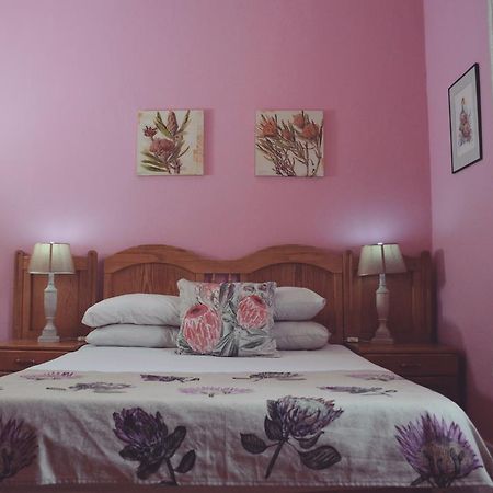 Homebase Melville Backpackers Johannesburg Kültér fotó